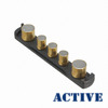 21543 Image